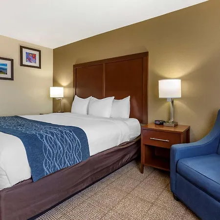Comfort Inn & Suites Alameda At Albuquerque Balloon Fiesta Park-2