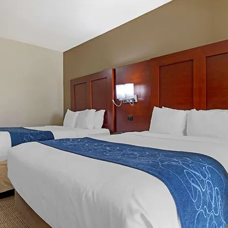 Comfort Suites Gainesville-2
