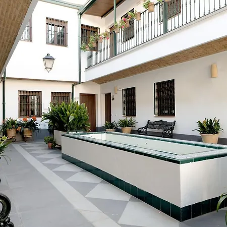 Triana Boutique Apartments By Hommyhome-3