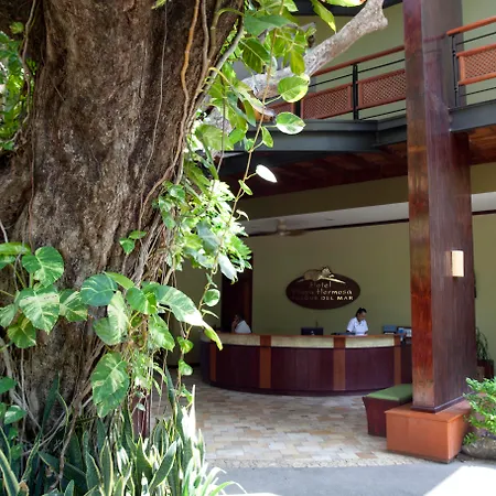 Hotel Bosque Del Mar Playa Hermosa-3