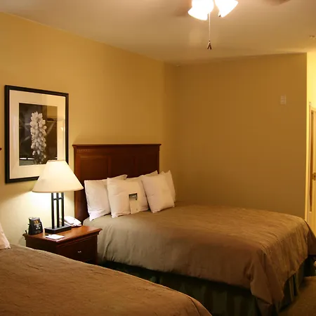 Homewood Suites By Hilton Denver - Littleton-3