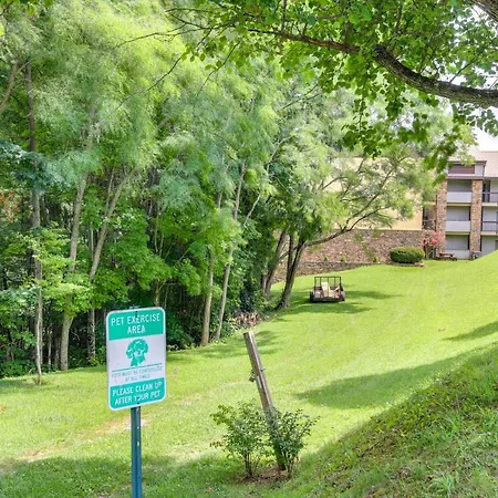 Retro Gatlinburg Getaway With Mt Leconte Views! Apartment-2