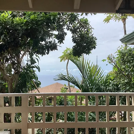Kona Hawaii Guest House A Unique Hawaii Experience-2