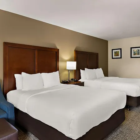 Comfort Inn & Suites Sequoia Kings Canyon-3