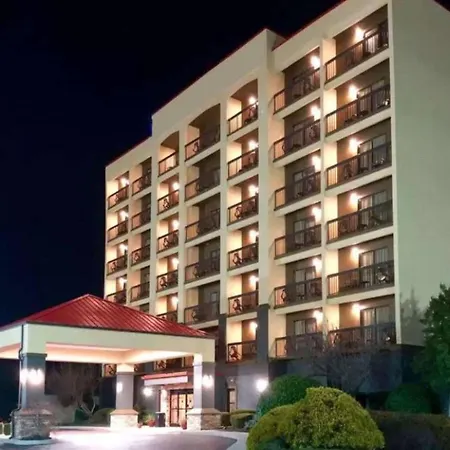 Vista Suites Near Island And Leconte Convention Center-2