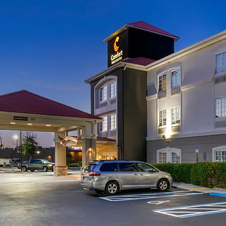 Comfort Inn & Suites Port Charlotte-Punta Gorda-3