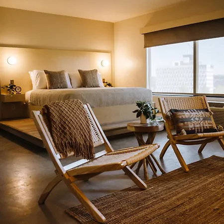 Brut Hotel-2