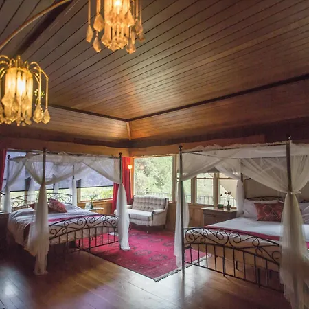 Quiet Mind Lodge, Spa & Retreat Sequoias-2