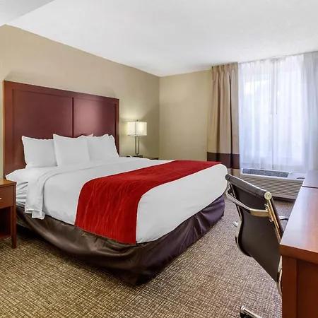 Comfort Inn St Petersburg North-2