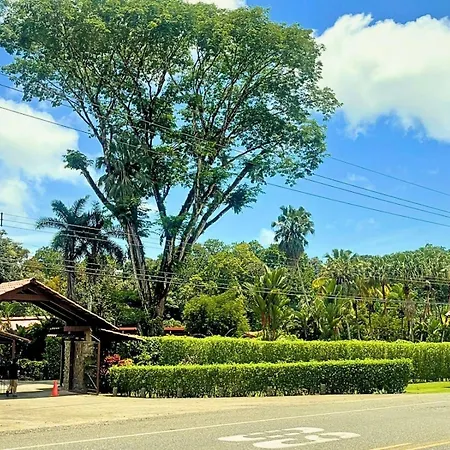 La Foresta Nature Resort-3