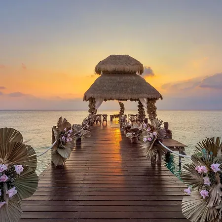 Secrets Aura Cozumel - Adults Only-2