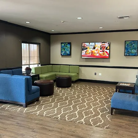 Comfort Suites Lawton Near Fort Sill-3