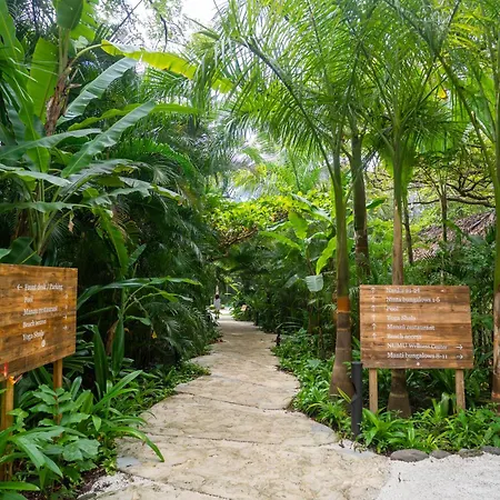 Hotel Nantipa - A Tico Beach Experience-3