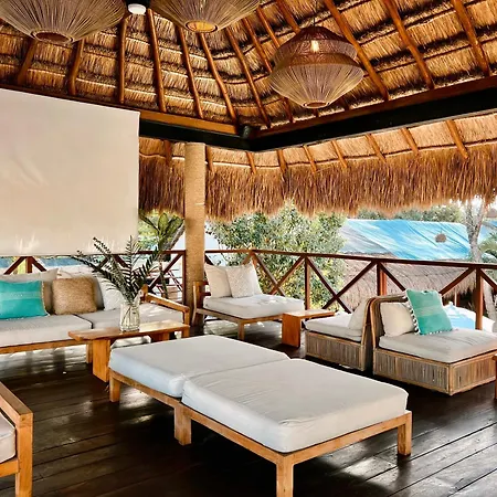 Mimosa Tulum-2