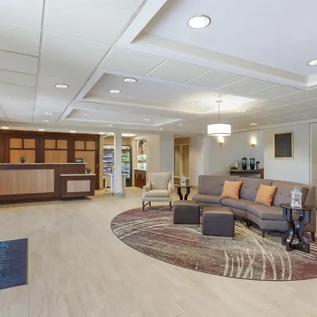 Homewood Suites By Hilton St. Petersburg Clearwater-3