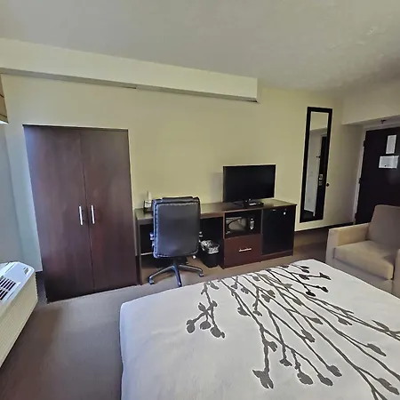 Surestay By Best Western Summerville Flowertown-2