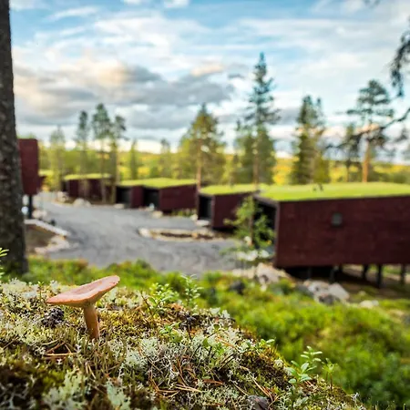 Arctic Treehouse Hotel-2