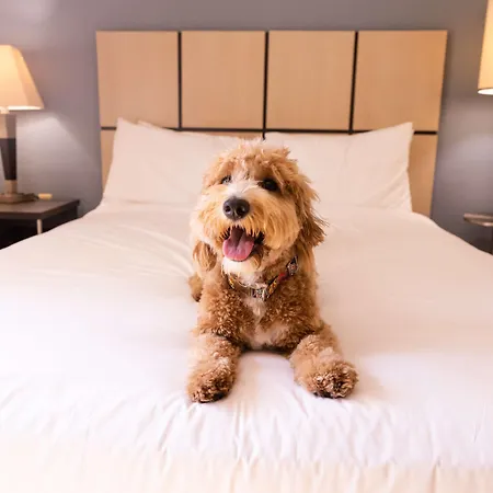 Sonesta Simply Suites Oklahoma City Airport-2