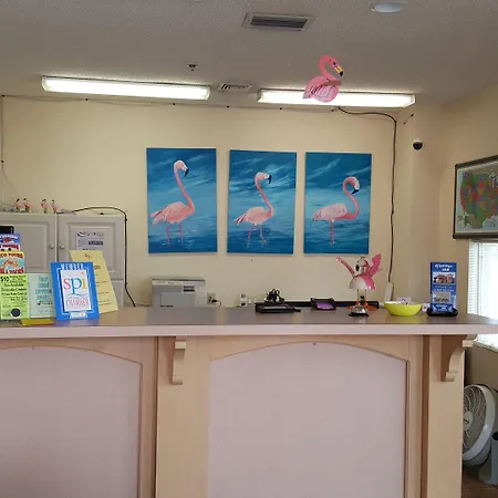 Flamingo Inn-2