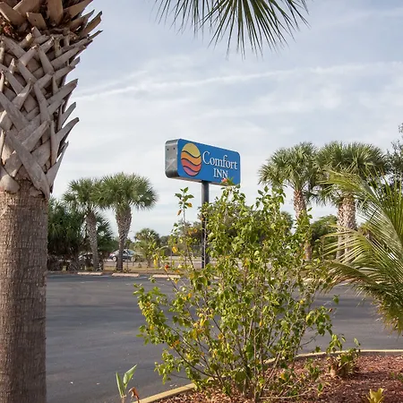 Comfort Inn St Petersburg North-3
