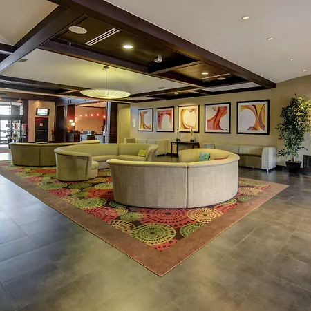 Holiday Inn Arlington Northeast By Ihg-3