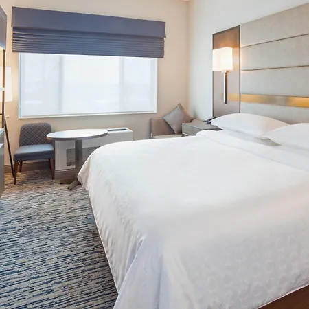 Sheraton St Paul Woodbury Hotel-2