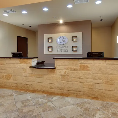 Comfort Suites Arlington - Entertainment District-3