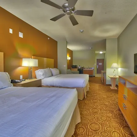 Holiday Inn Express & Suites Lubbock Southwest - Wolfforth By Ihg-2