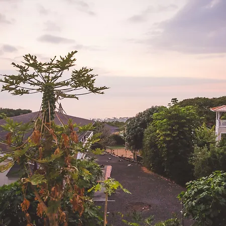 Kona Hawaii Guest House A Unique Hawaii Experience-3