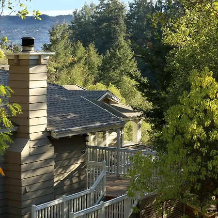 Meadowood Napa Valley-3