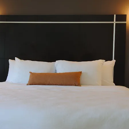The Gin Hotel, An Ascend Collection Hotel-3