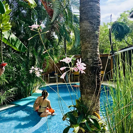Ten North Tamarindo Beach Hotel-3