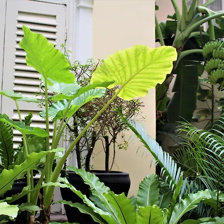 Palace Gate Hotel & Resort By Ehm-2
