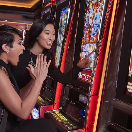 Live! Casino & Hotel - Baltimore Washington Airport - BWI-2