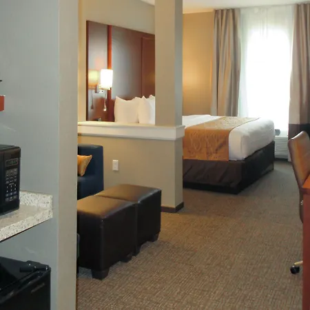 Comfort Inn & Suites Boise Airport-2