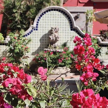 Collection O Casa Bella Hotel Boutique, Cabo San Lucas-3