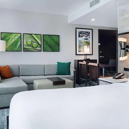 Embassy Suites By Hilton Alpharetta Halcyon-3