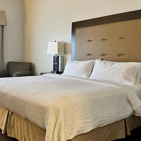 Holiday Inn Express Vancouver North By Ihg-3