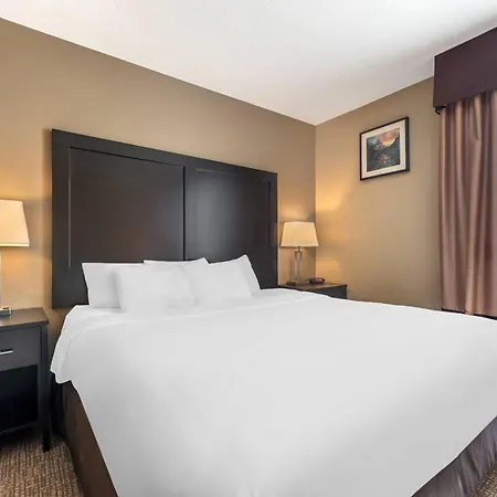 Comfort Inn & Suites Vernal - National Monument Area-3