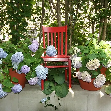 Hydrangea House Inn-2