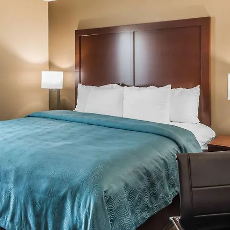 Mainstay Suites Edinburg South-3