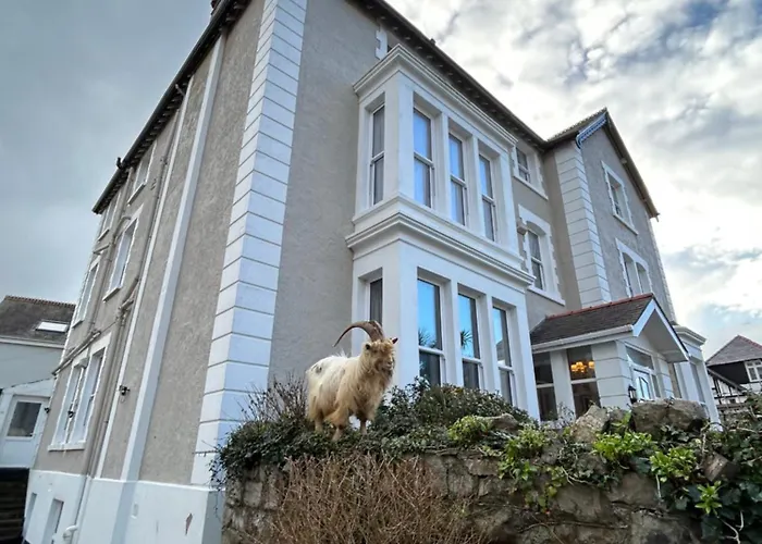 Llandudno 5 Star Hotels
