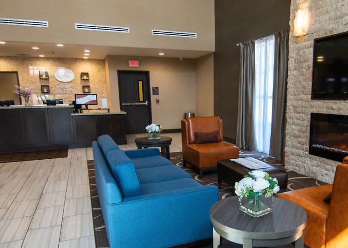 Comfort Suites Near Sam Houston Race Park Jersey Village