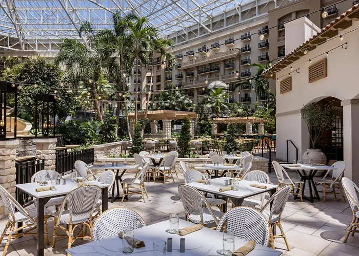 Gaylord Palms Resort & Convention Center Celebration